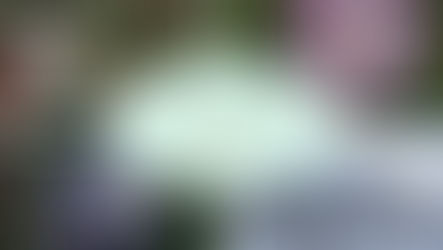 4 saisons chez nous: rétrospective en images