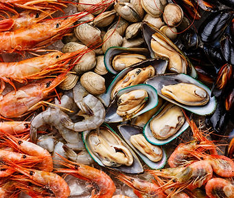 Shrimp, Clams & Oysters