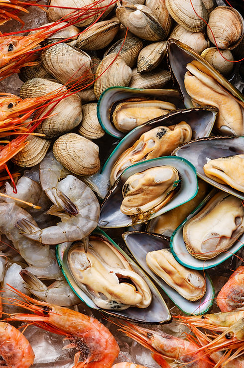 Seafood Shrims and Clams