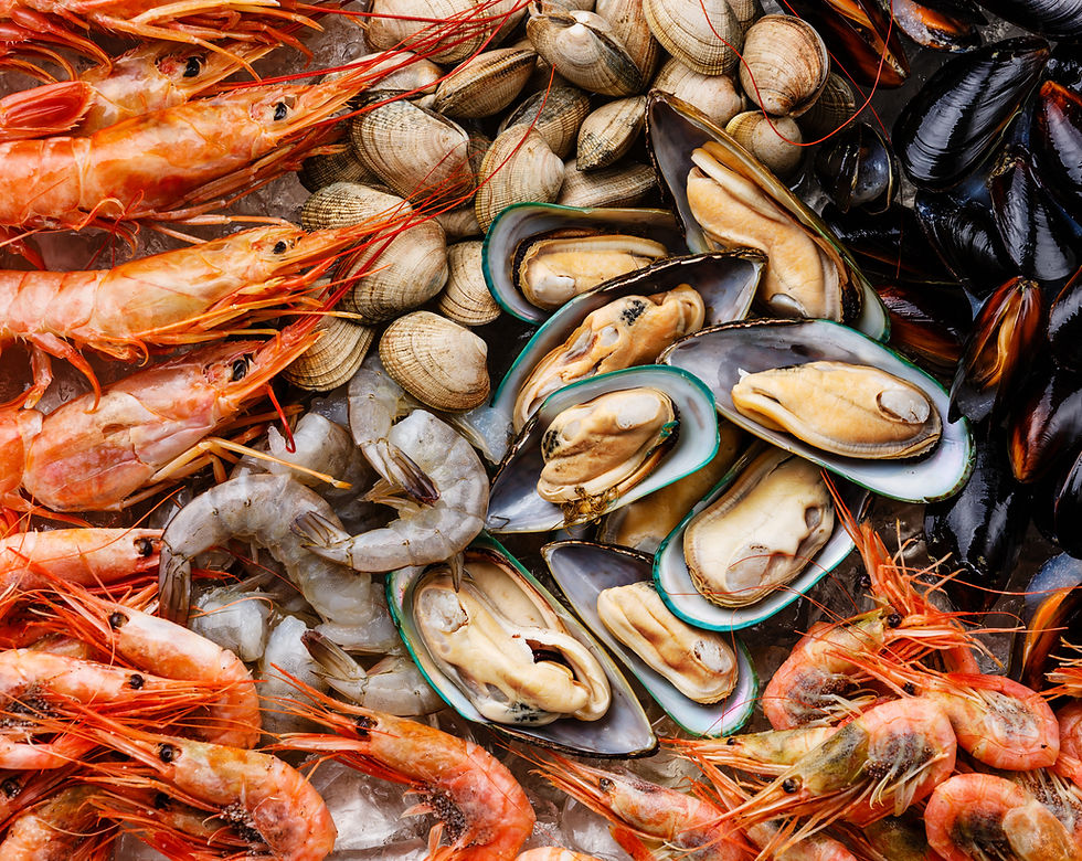 Shrimp, Clams & Oysters