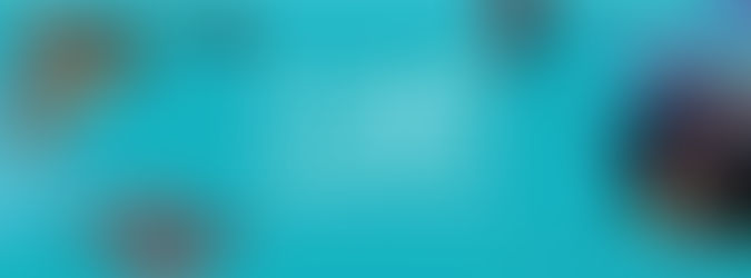 Hilarious Observations on Daily Life