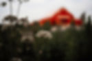 CKP06725-Edit.jpg