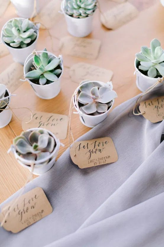 Succulents in Pots with Tags