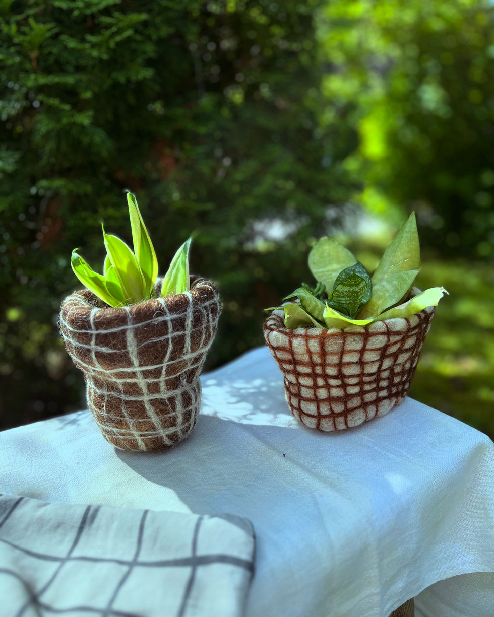 43CB5B79-84D2-4960-A4CC-C4572446D04C