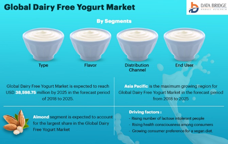 Report on Global Dairy-Free Yogurt Market by Player, Region, Type, Application