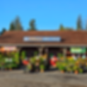 DiMeco's Lanscape and Nursery_edited.png