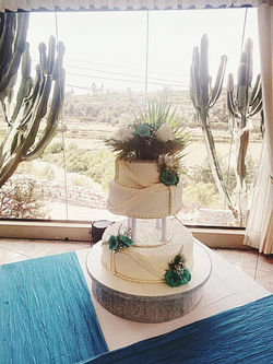 15590016_1582119855136632_6293759758779857647_n