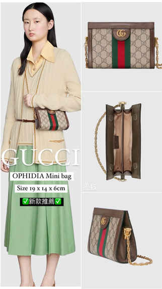 Gucci小包推薦👈🏻New mini bag 腋下包+ mini ophidia bag ✅超香款美包年底請擁有它❤️
