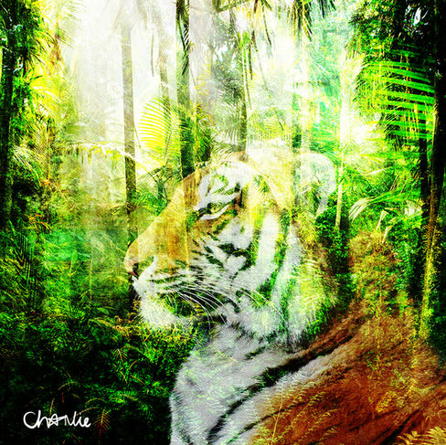 Strength – framed original digital fine art by Charlie, vibrant abstract surrealism tiger art, 51cm x 51cm.