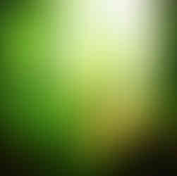 Beauty – framed original digital fine art by Charlie, vibrant abstract surrealism tiger art, 51cm x 51cm.