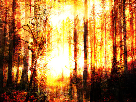 Farewell 2025 Limited Edition Contemporary Digital Fine Art Print By Charlie, Week 1 of the weekly limited edition print series