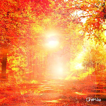 Autumn Small.jpg
