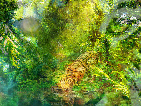 Power – framed original digital fine art by Charlie, vibrant abstract surrealism tiger art, 51cm x 51cm.