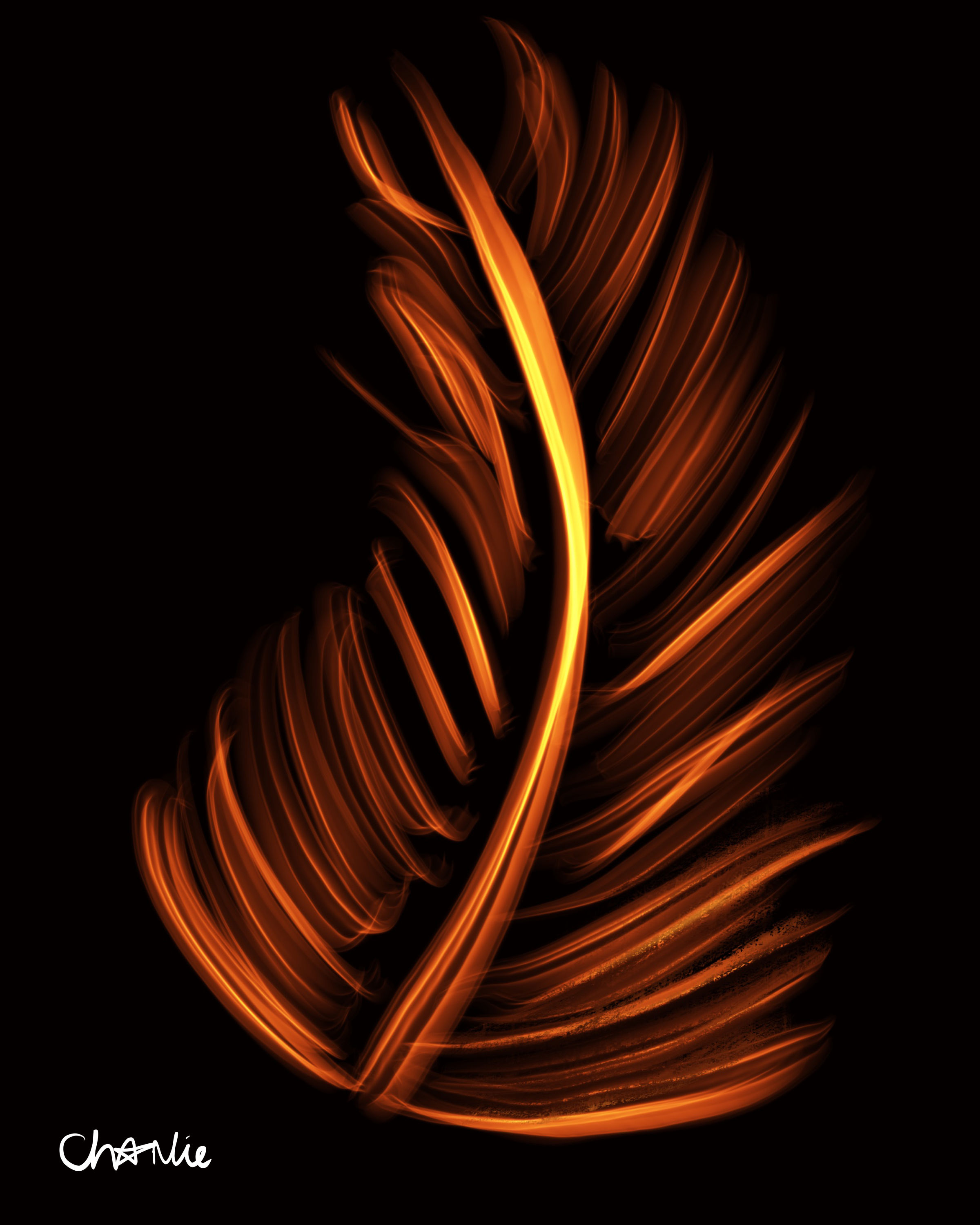 Like The Winter Wheat - Limited Edition Contemporary Digital Fine Art by Charlie