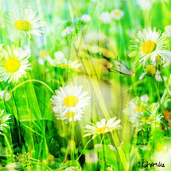 Week 11 - Still Here Small.jpg