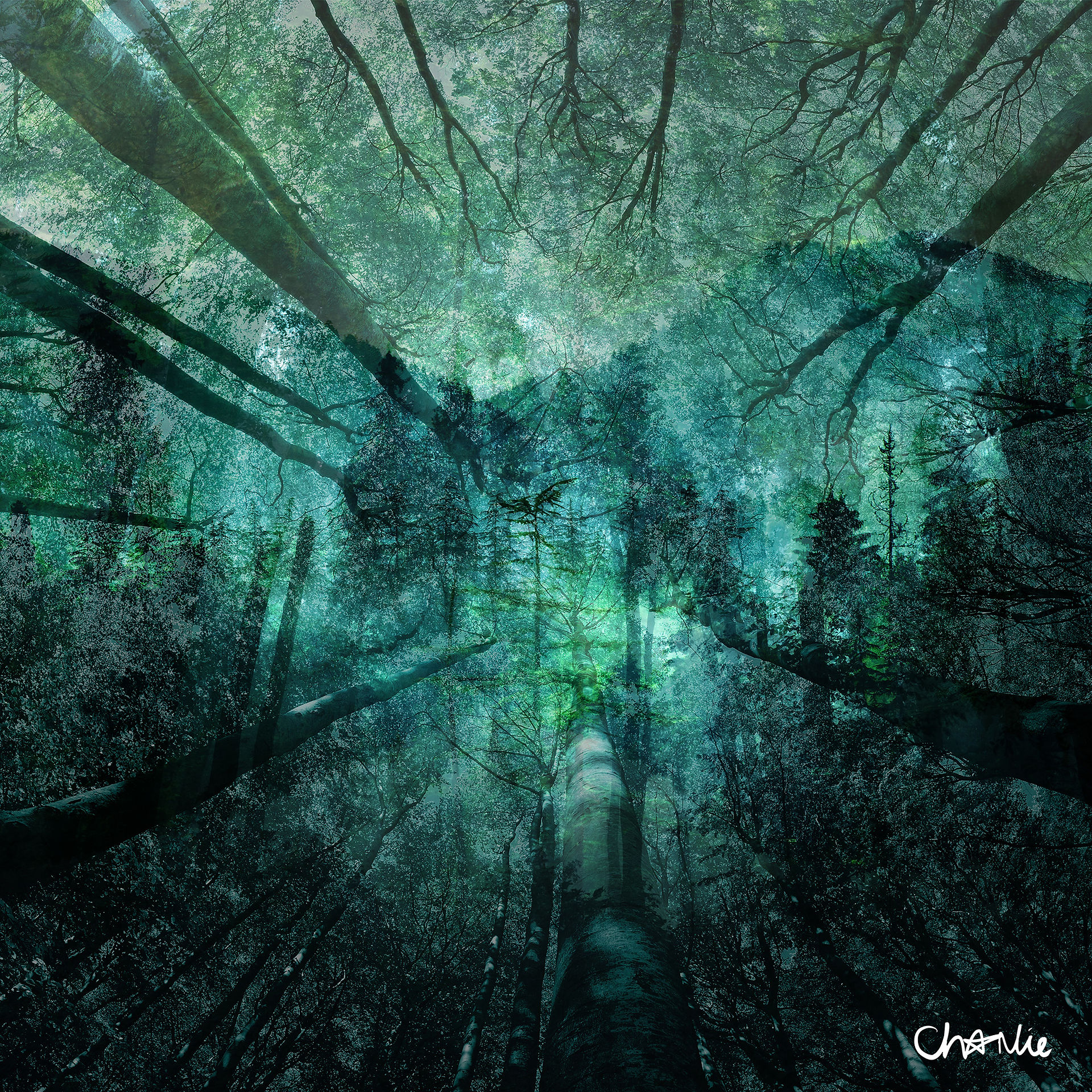 Forest of Dreams Limited Edition Contemporary Digital Fine Art Print By Charlie, Week 2 of the weekly limited edition print series