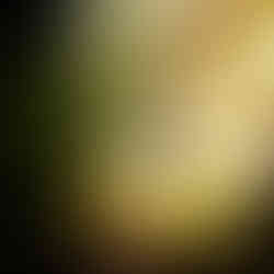 Fortitude Forest Limited Edition Contemporary Digital Fine Art Print By Charlie, Week 2 of the weekly limited edition print series