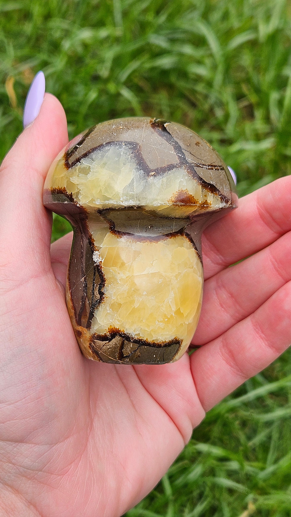 Septarian Mushroom Carving