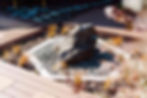 Rotorua Oasis-125.jpg