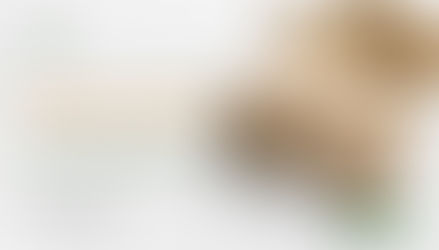 Psilocibina e memória