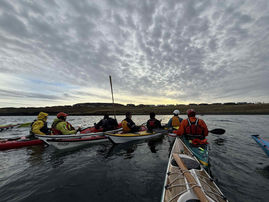 Félagsróður dagsins