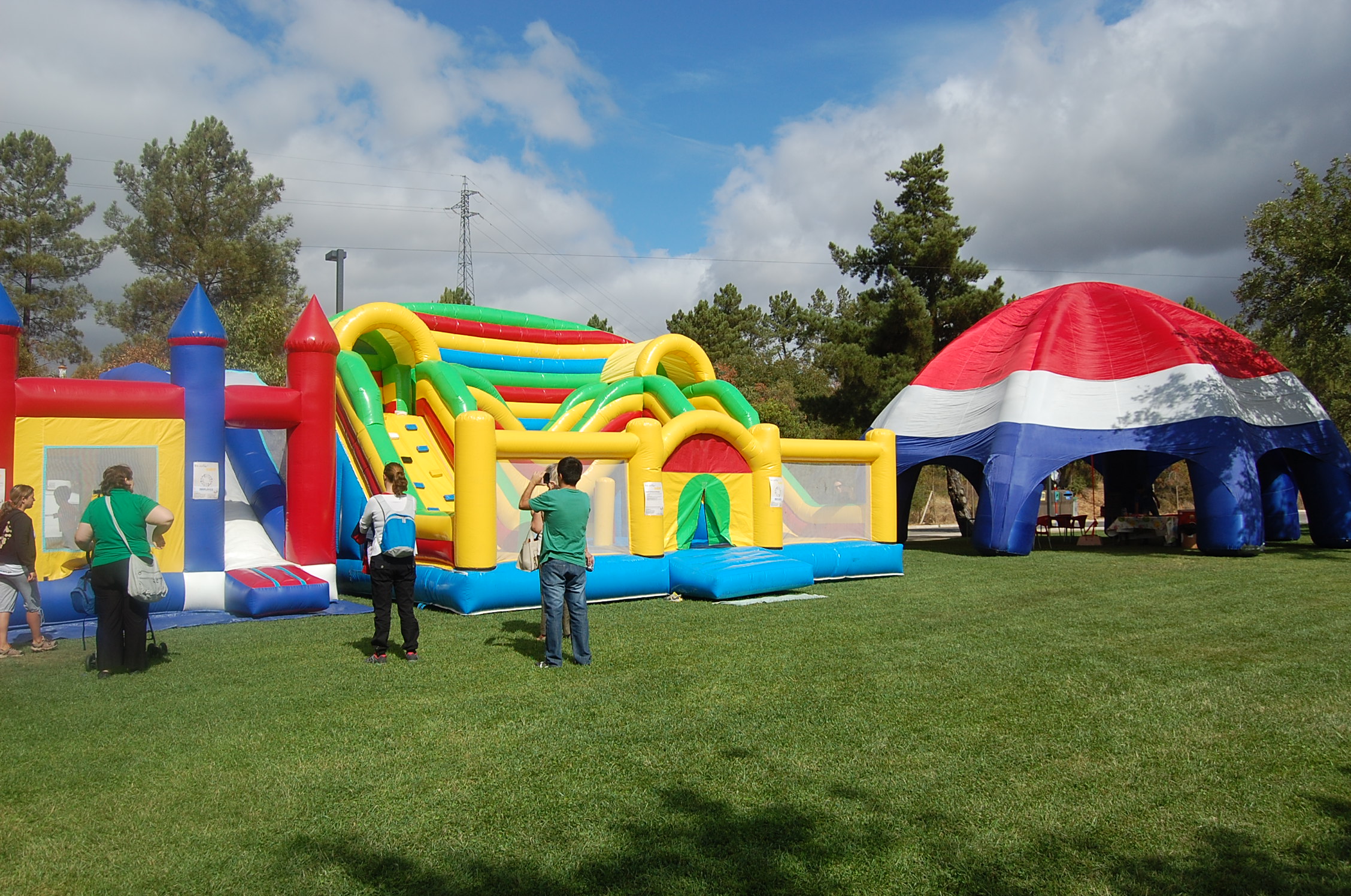 Magic Garden 2015 (25)