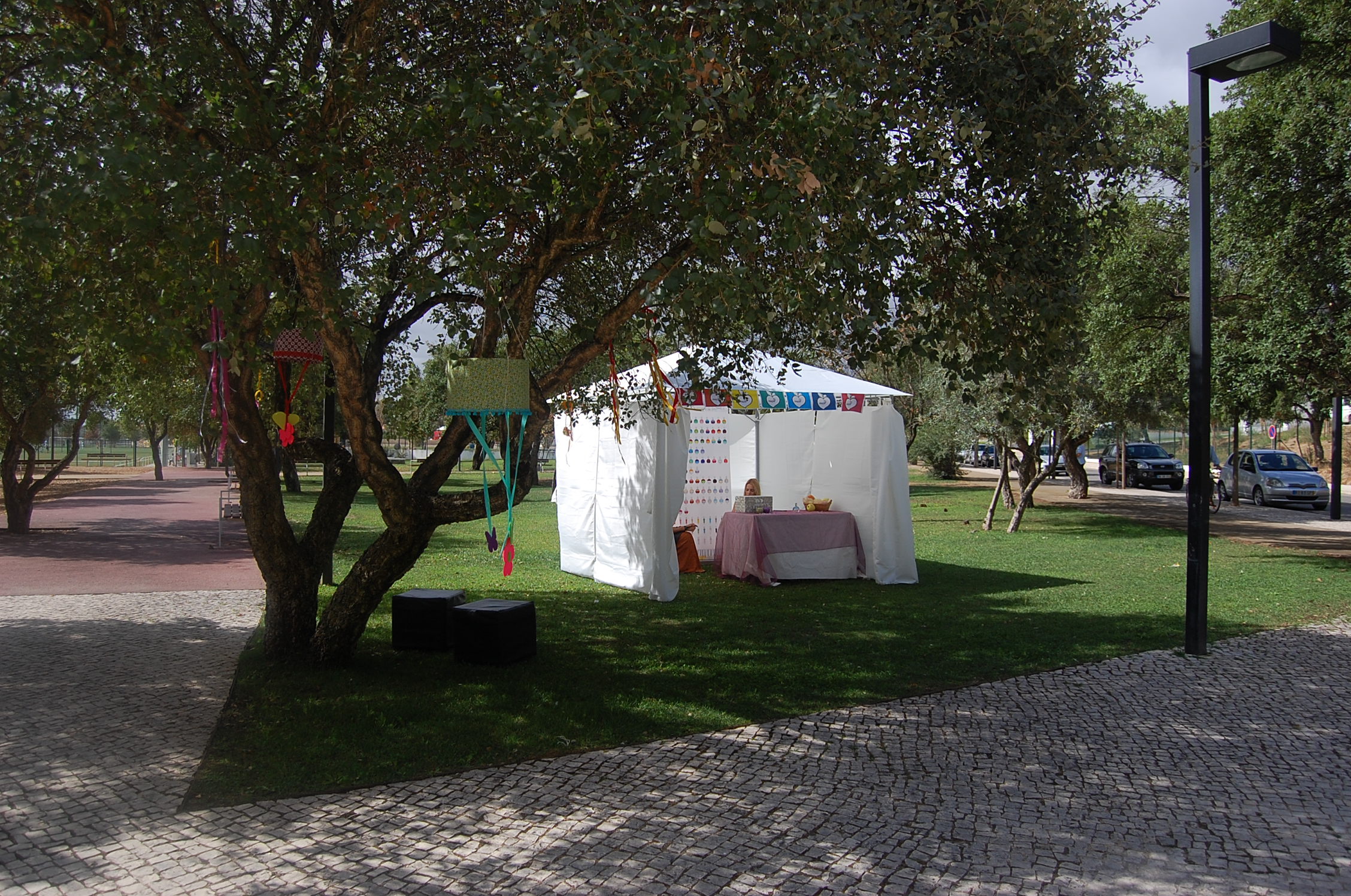 Magic Garden 2015 (18)