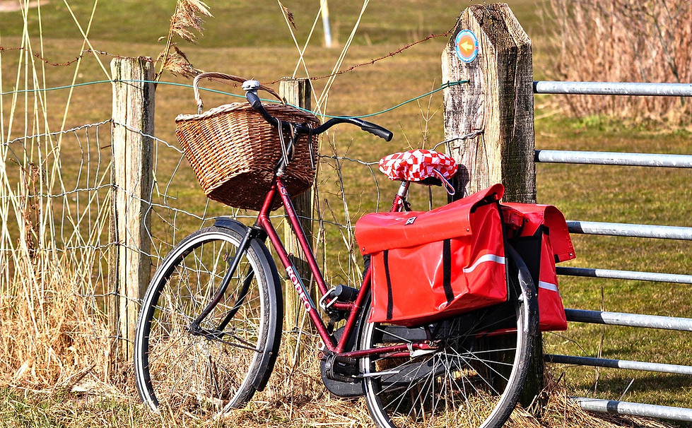 bicycle-3204030_1920.jpg