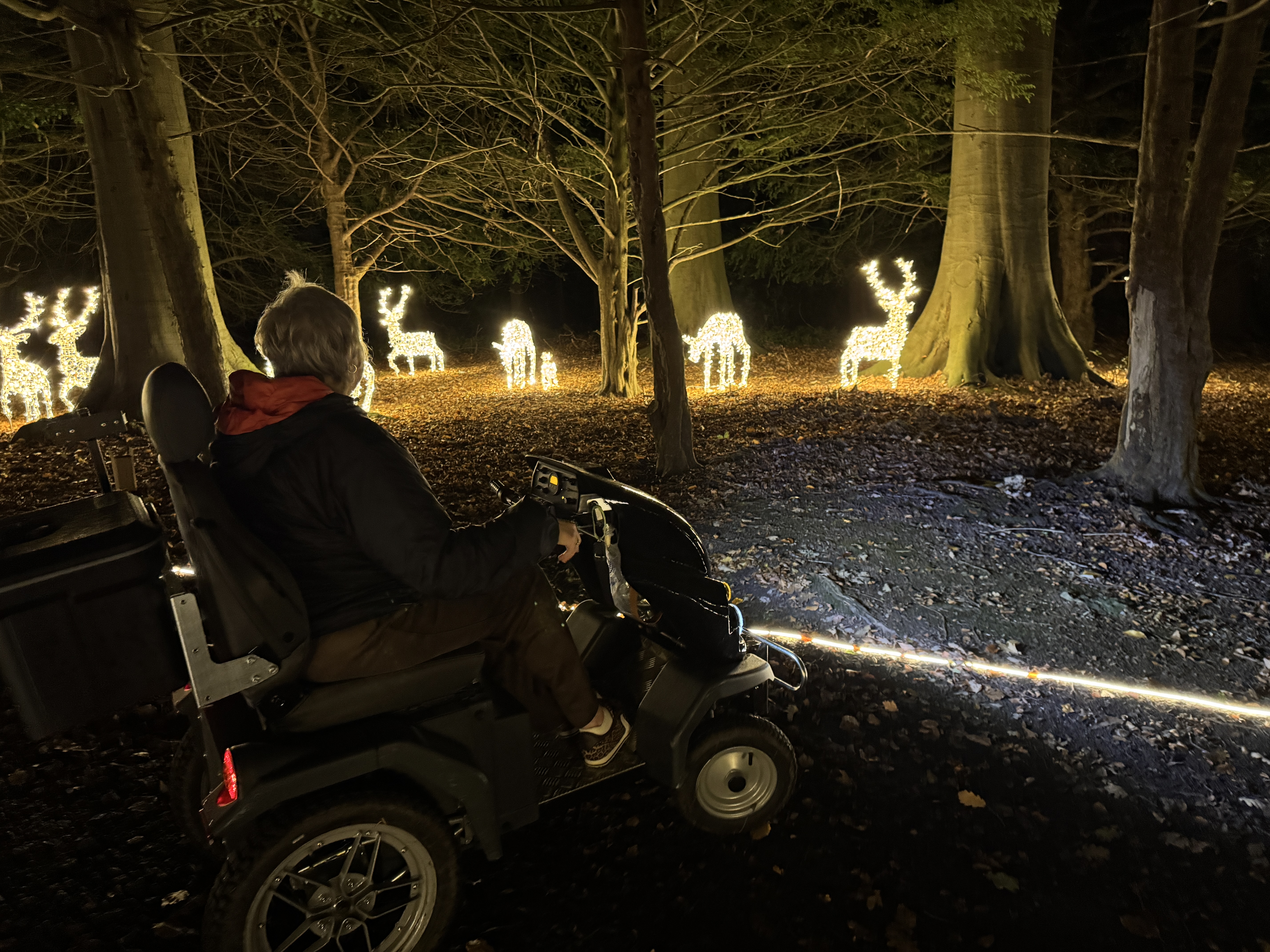 Person on mobility scooter in a dimly lit forest, admiring illuminated deer figures at night. Warm, glowing atmosphere.