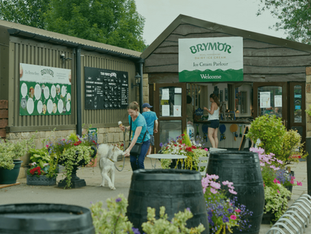 Brymor Dairy