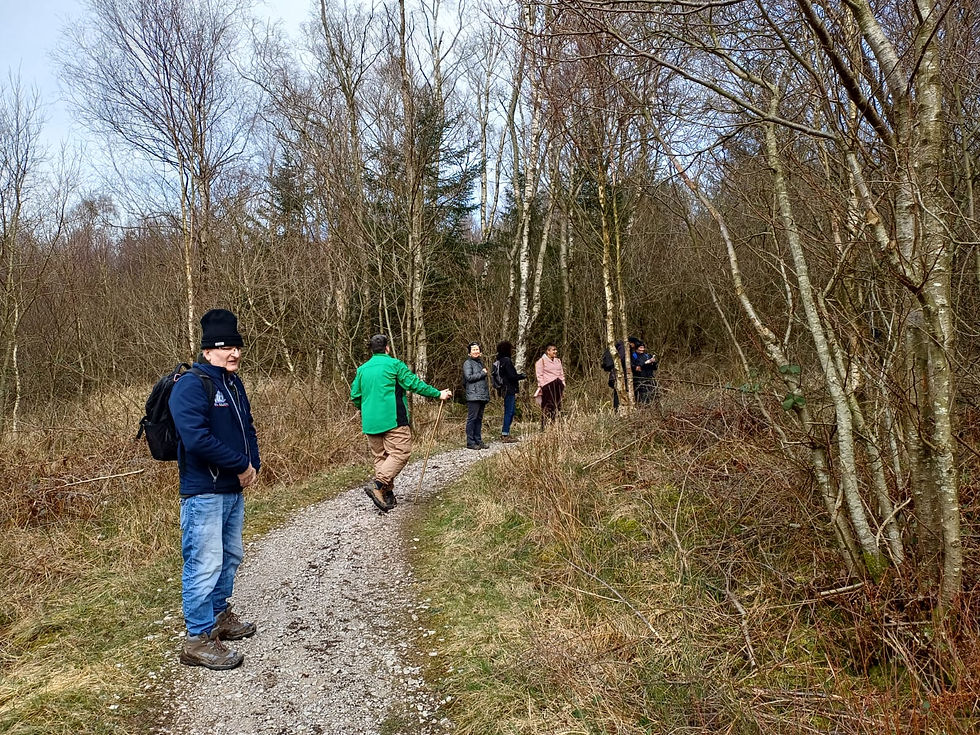 People walking on a forest path in winter attire, surrounded by bare trees and dry grass. One person in a green jacket stands out.