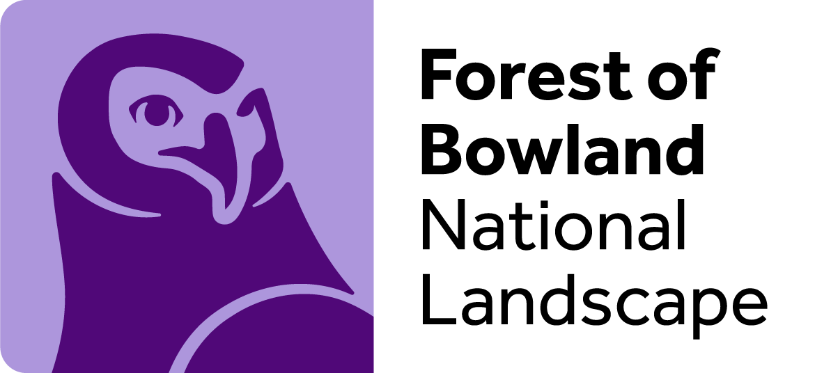 Stylized purple bird graphic on a lavender background. Text reads "Forest of Bowland National Landscape." Simple, bold design.