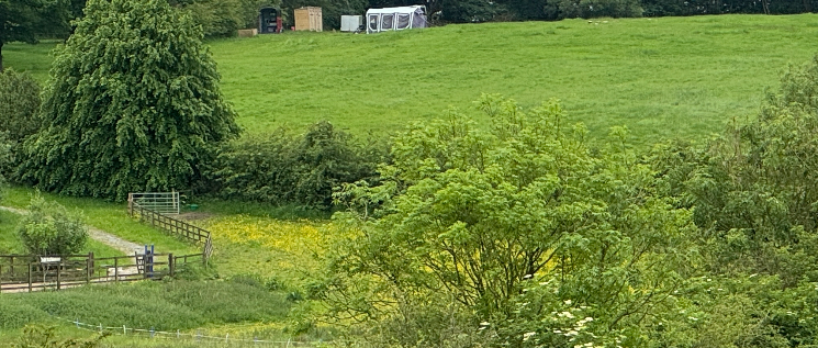 A lush green field with trees, a path, and distant tents under a cloudy sky. A peaceful rural landscape with vibrant foliage.