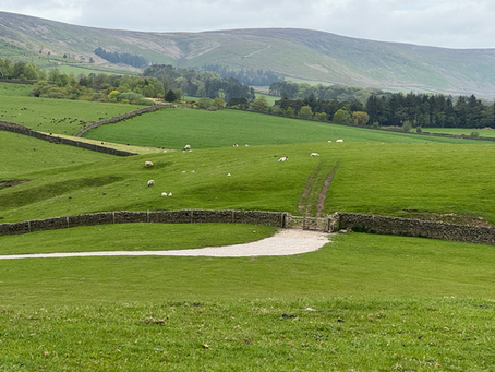 Rolling green countryside with sheep grazing, stone walls, and a gate in the foreground. Hills and trees under a cloudy sky complete the scene.