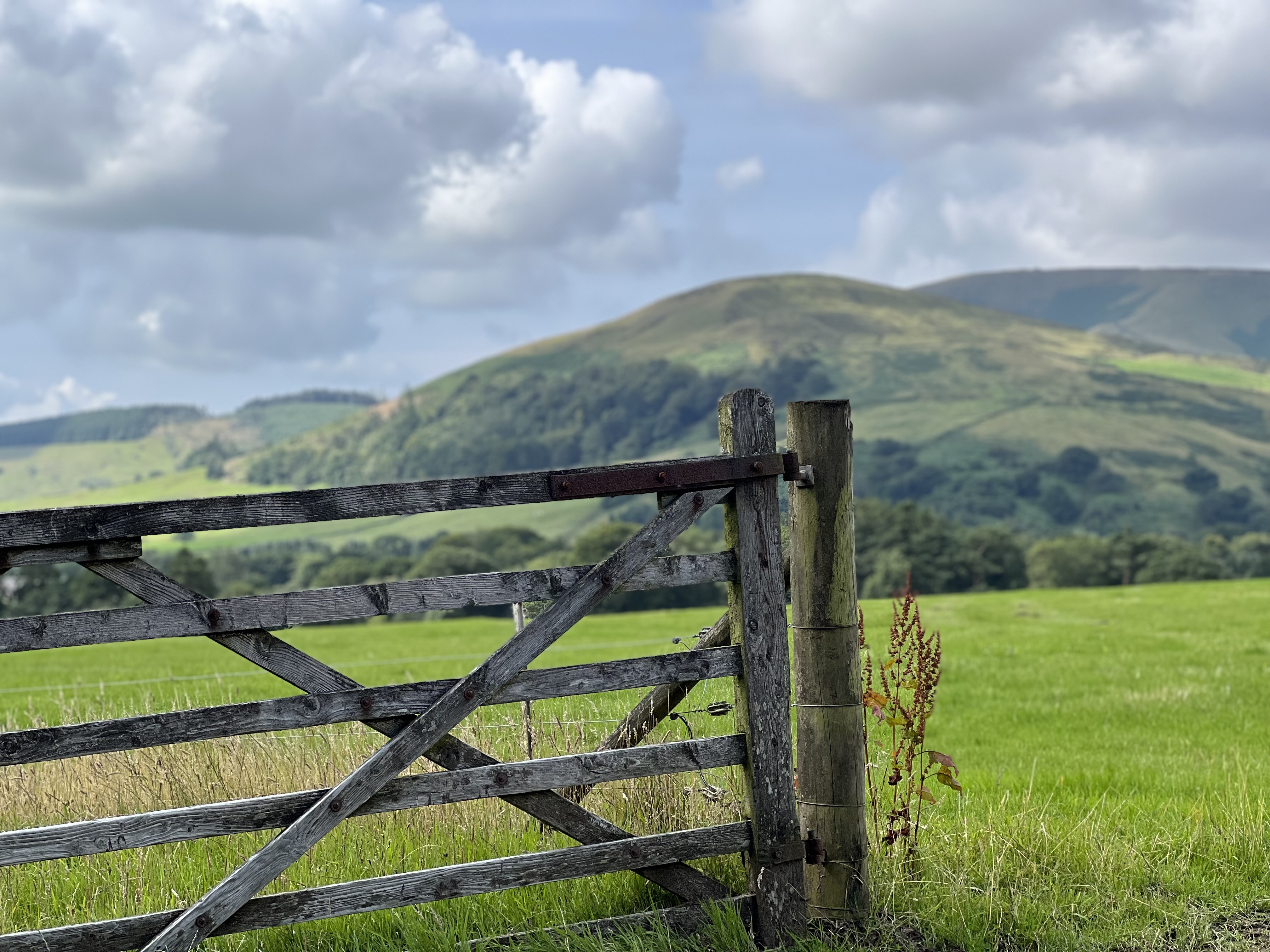 Wooden gate in a lush green field with rolling hills in the background. Partly cloudy sky creates a serene, peaceful atmosphere.