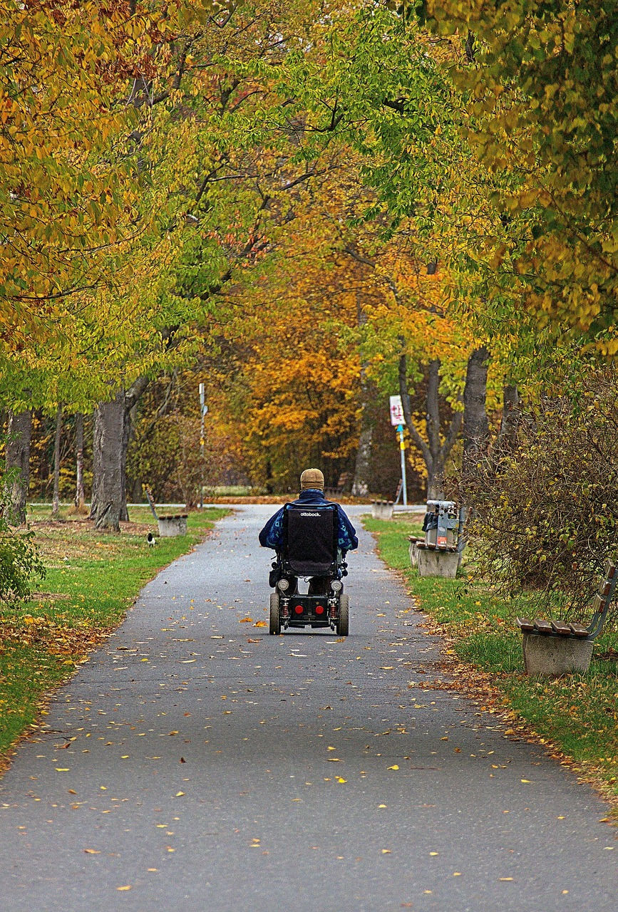 Enjoy a stroll through the trees