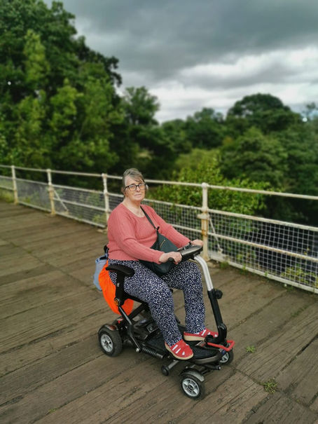erson in a pink sweater on a mobility scooter on a wooden bridge, surrounded by lush greenery and cloudy skies.