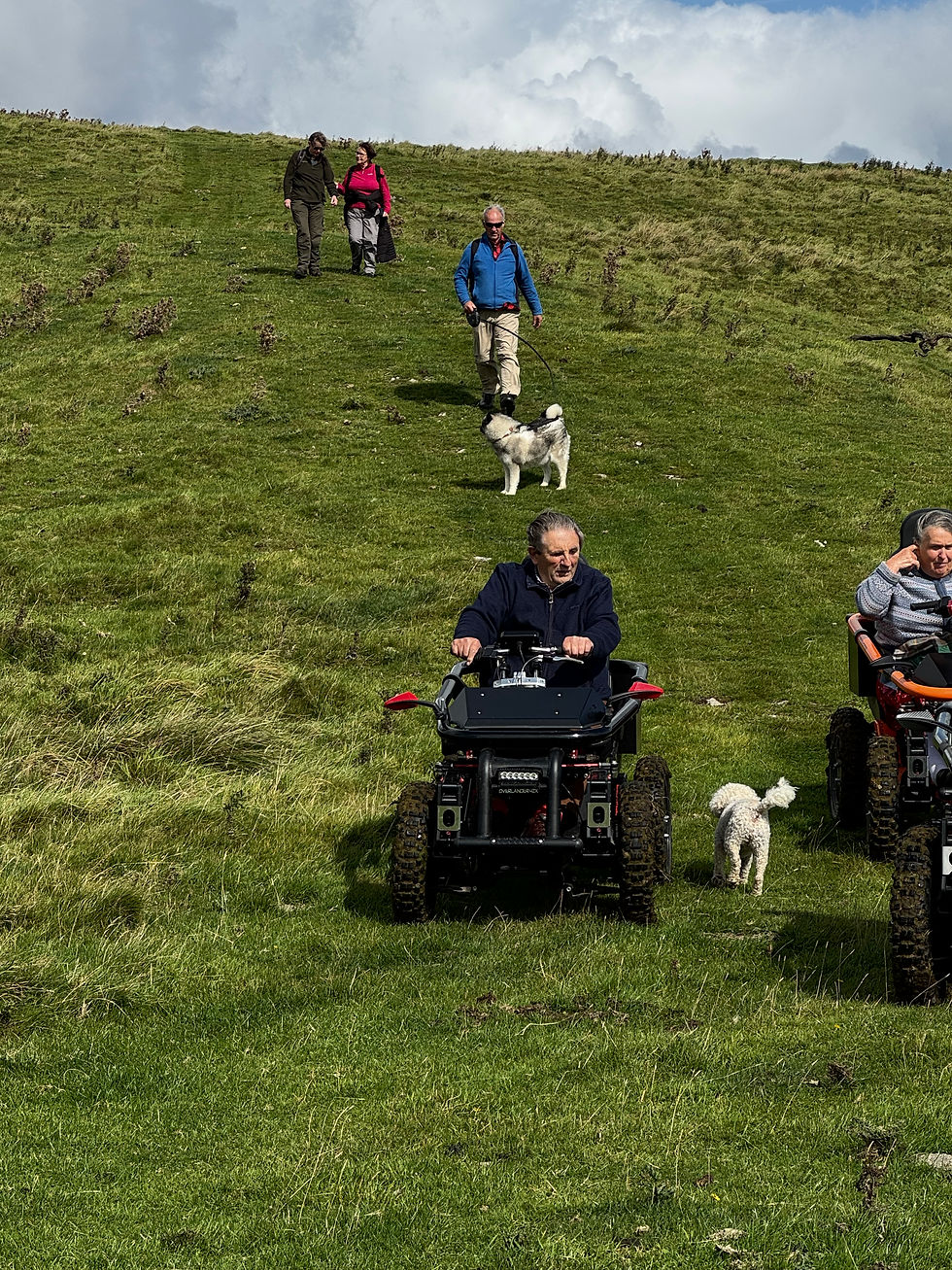 People on all-terrain wheelchairs on a grassy hill, with two dogs nearby. Others walk in the background under a cloudy sky.