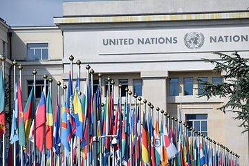 un flags.jpeg