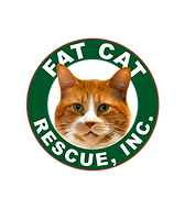 Mr Whiskers Logo PNG 01.png