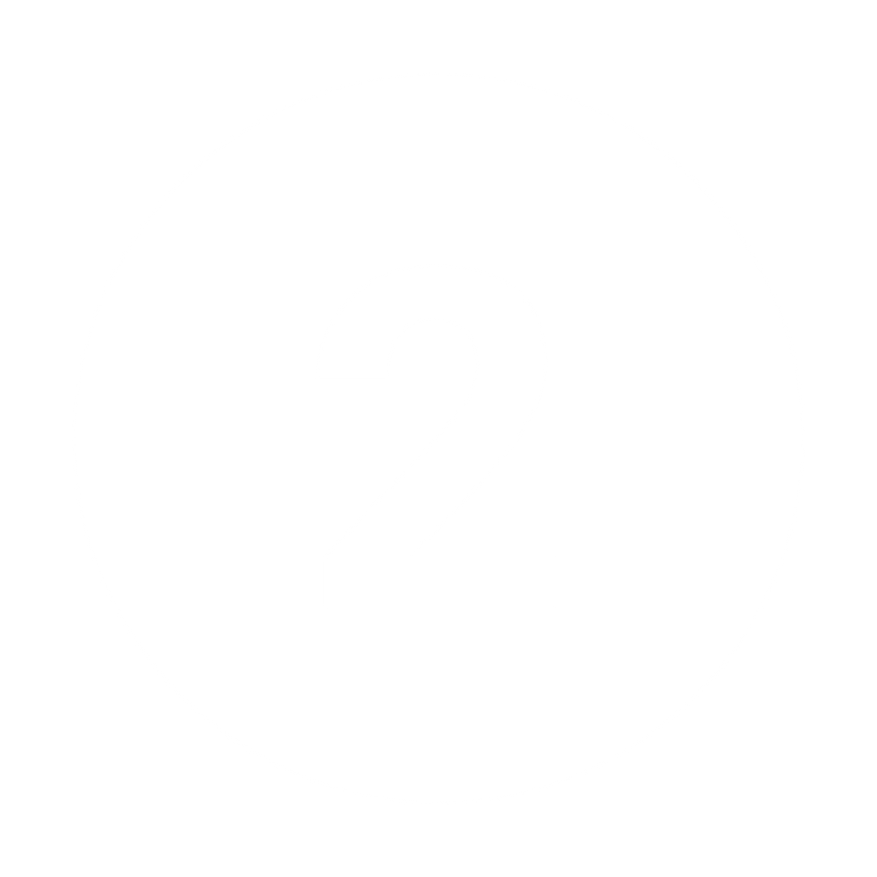 C I R U R G I A P L Á S T I C A (1).png