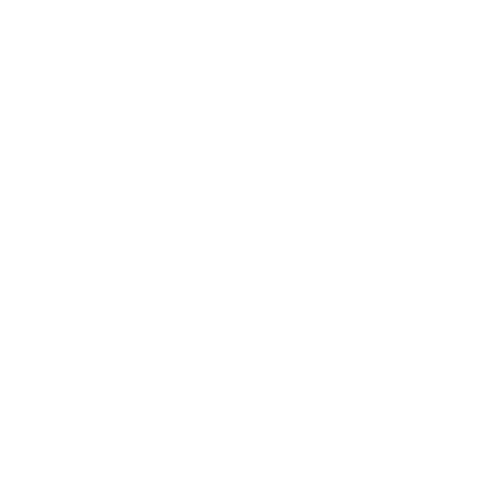 C I R U R G I A P L Á S T I C A (3).png