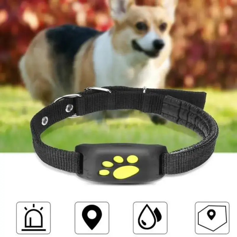 Miniatura: GPS Pet Tracker