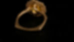 Thumbnail: Bottom view of The Nectar Guardian Ring on its side, showing the euro shank and hexagonal profile.