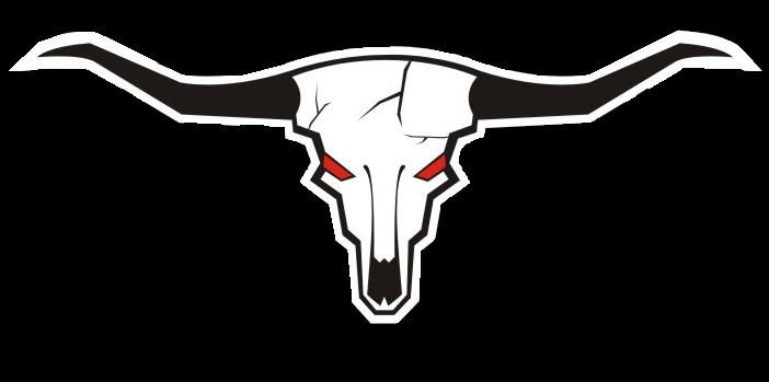 Longhorn Chassis