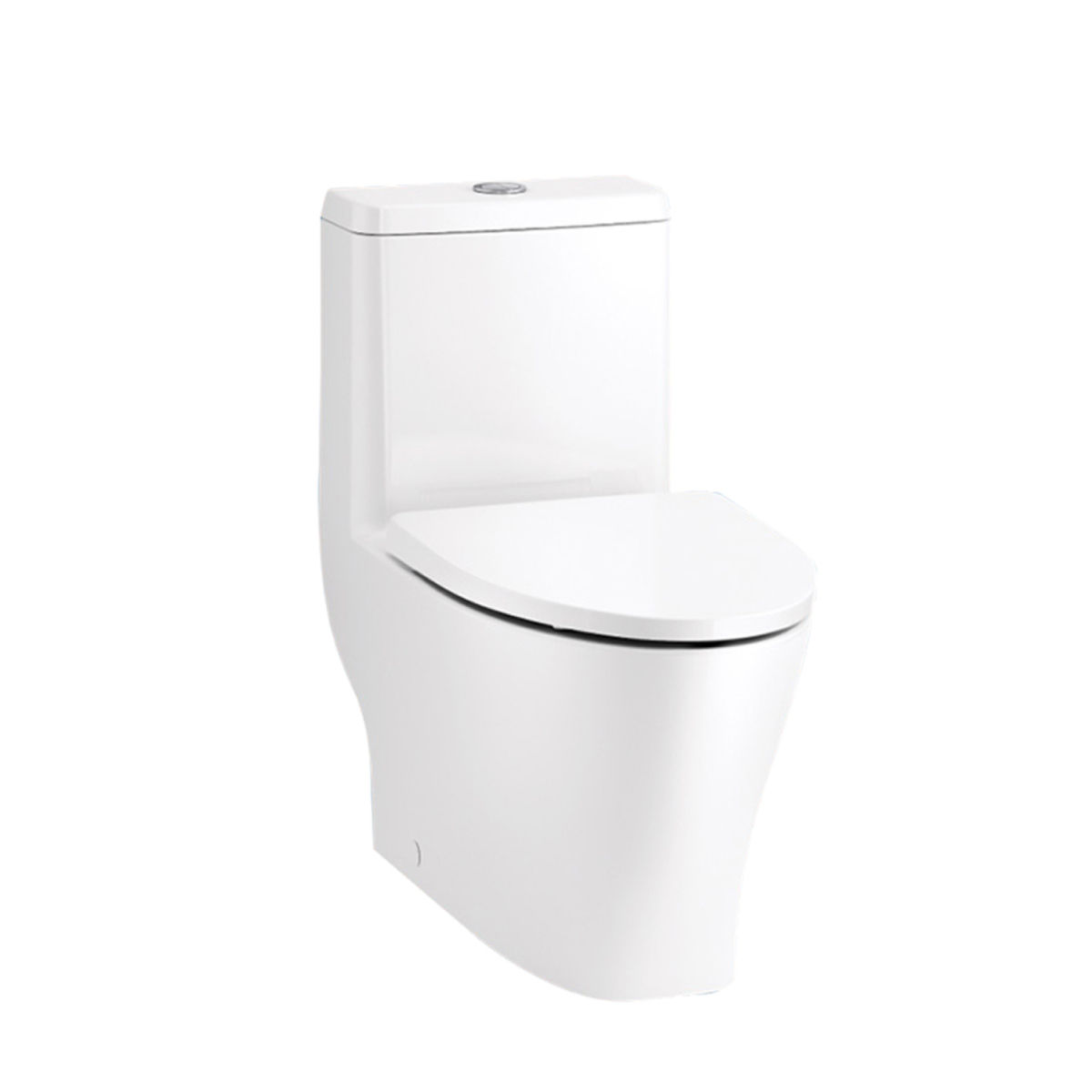 Family Care 6.0 L, One Piece Toilet