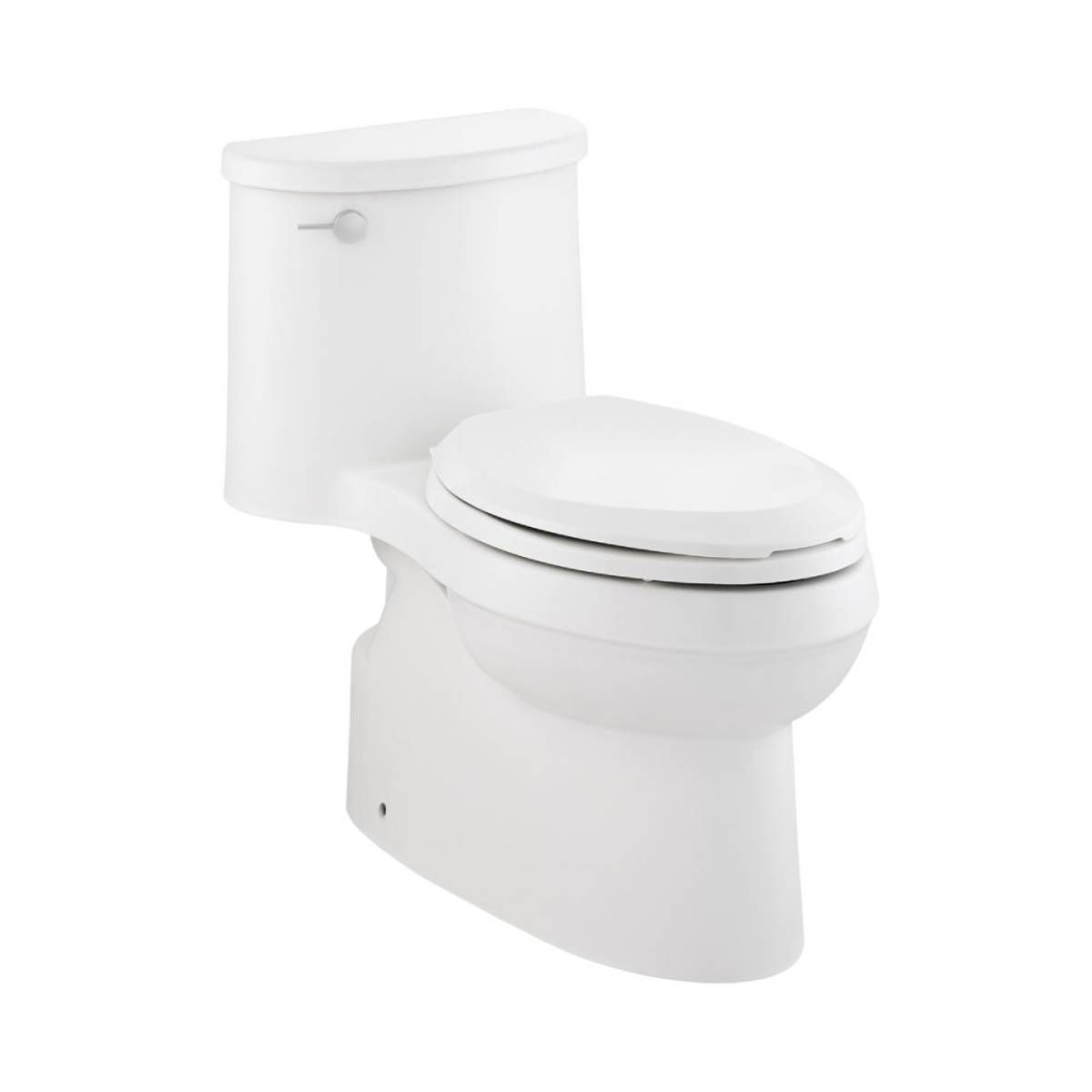 One Piece 4.2l Toilet With French Curve Quiet Close Seat