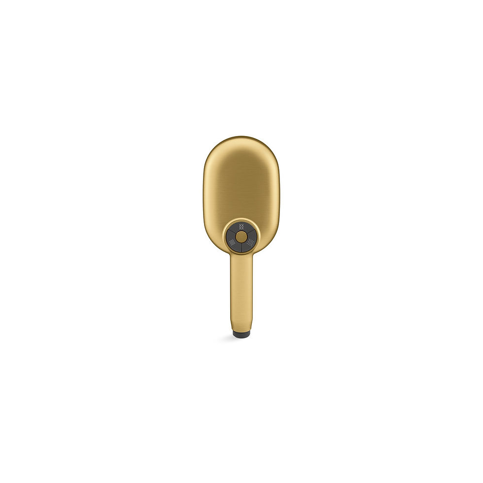 Thumbnail: Statement 3f Oblong Handshower