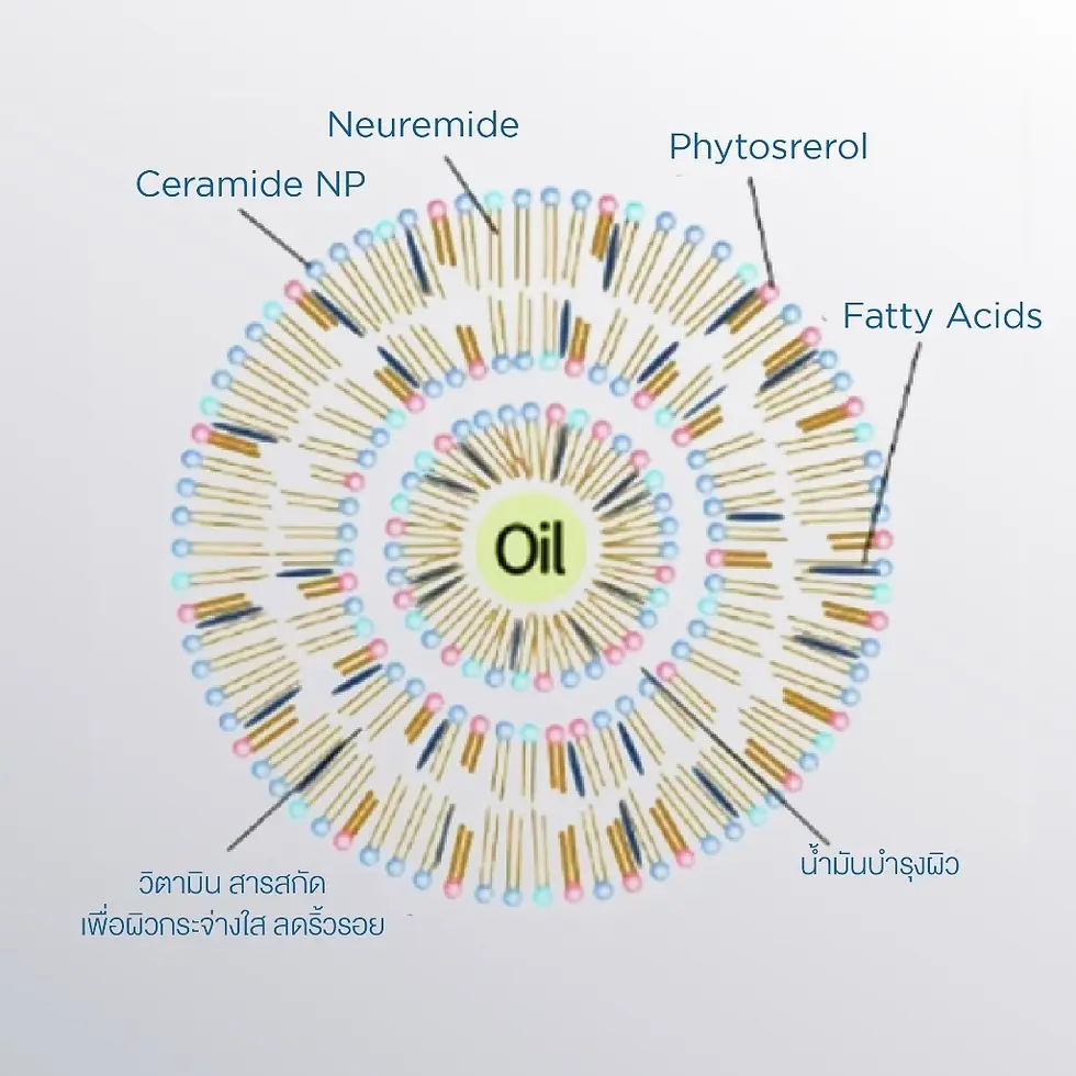 Miniature : Ampoule de Neuromide Curecode, pour raffermir la peau 