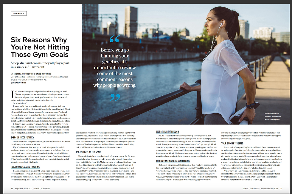 Impact Magazine Article 2023